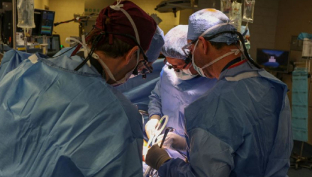 Conquista brasileira: 1º transplante de rim de porco para humano é comandado por médico brasileiro
